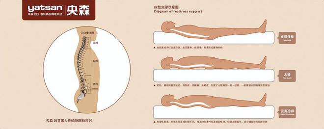 央森床垫：为实现《健AG九游会康中国2030》战略目标与时俱进(图4)