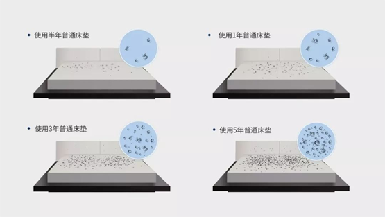 舒达床垫实力彰显三重立体阻螨为健康睡眠保驾护航(图2)